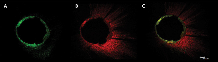Abstract Image