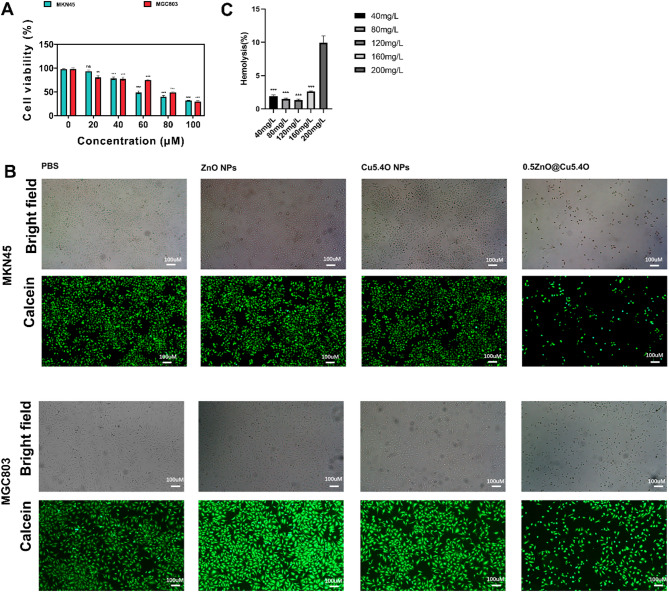 0.5ZnO@Cu5.4O nanoparticle for regulates the expression of GSDMB and targeted therapy of tumor.