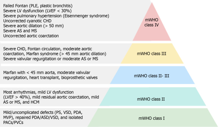 Navigating women with congenital heart disease during pregnancy: Management strategies and future directions.
