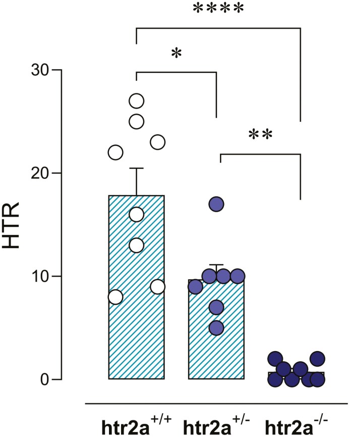 Role of endogenous serotonin in psychedelic-like effects of psilocybin in mice.