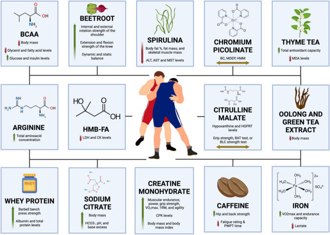 Evidence-Based Supplementation Strategies for Wrestlers: A Systematic Review.