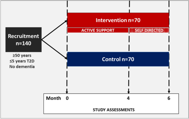 BRAIN-Diabetes: a randomised trial to test the feasibility of an adapted FINGER multidomain intervention in adults with type 2 diabetes living in rural border regions of Ireland.