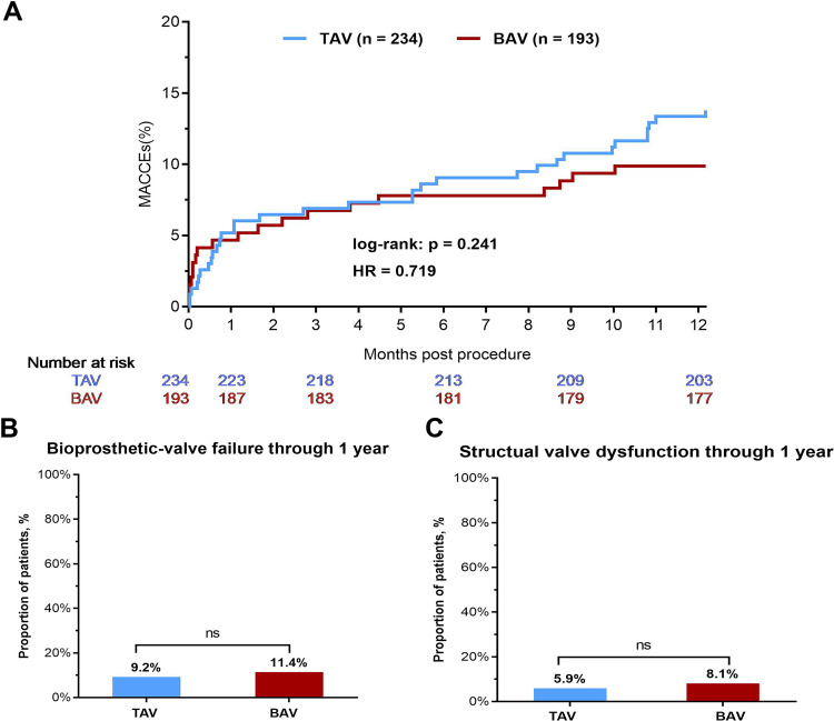 Transcatheter bicuspid versus tricuspid aortic valve replacement in patients with a small aortic annulus: an observational study.