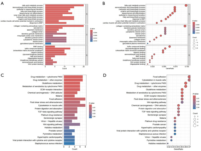Interpretable machine learning driven biomarker identification and validation for prostate cancer.