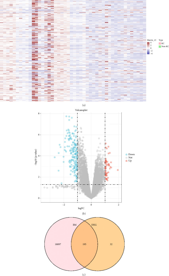 Screening and Identification of Basement Membrane-Related Gene Signatures for Diagnosis in Keratoconus Through WGCNA and Machine Learning.