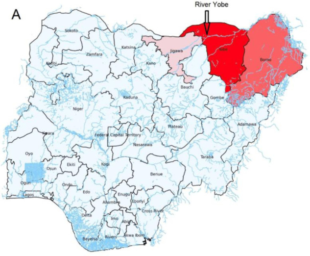 High burden of chronic kidney disease of unknown cause among patients receiving renal replacement therapy in Northeast Nigeria: A cross-sectional survey of haemodialysis units.