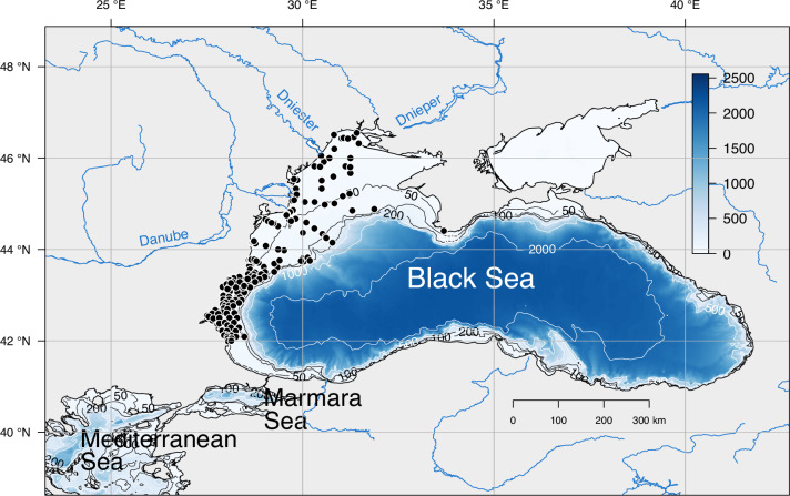 A macrozoobenthic data set of the Black Sea northwestern shelf.