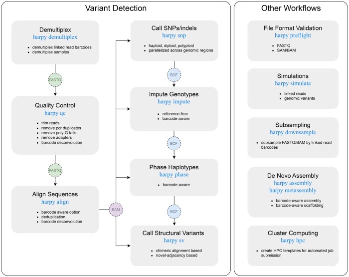 Harpy: a pipeline for processing haplotagging linked-read data.