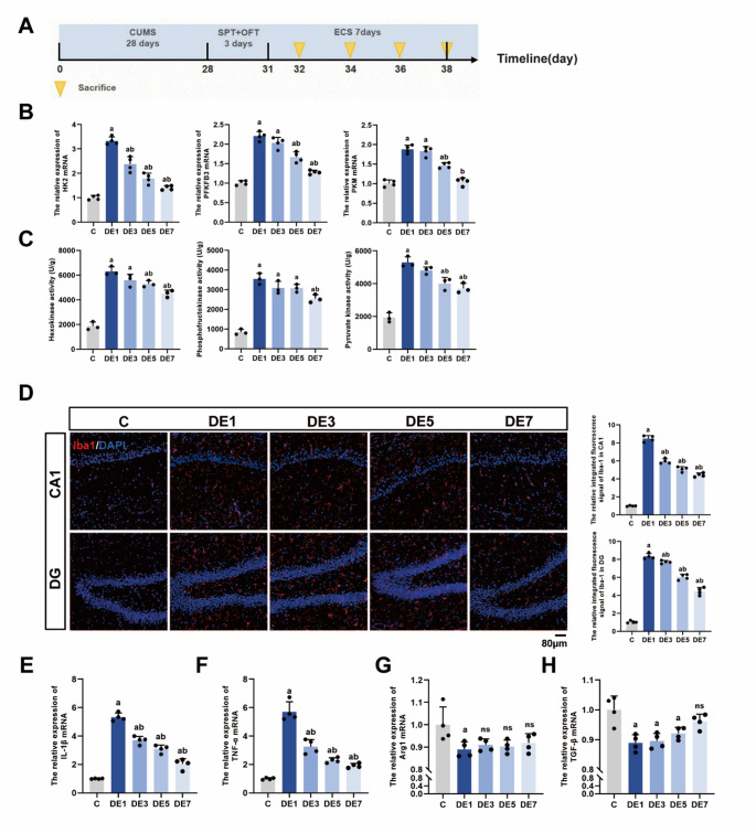 Propofol Modulates Microglial Glucose Metabolism Via the AMPK/HIF-1α Signaling Pathway To Ameliorate ECS-induced Cognitive Deficits in Depressive-like Rats