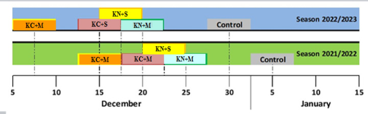 Potassium and methionine mitigate the alternate bearing of Balady mandarin via reducing gibberellins and increasing salicylic acid and auxins.