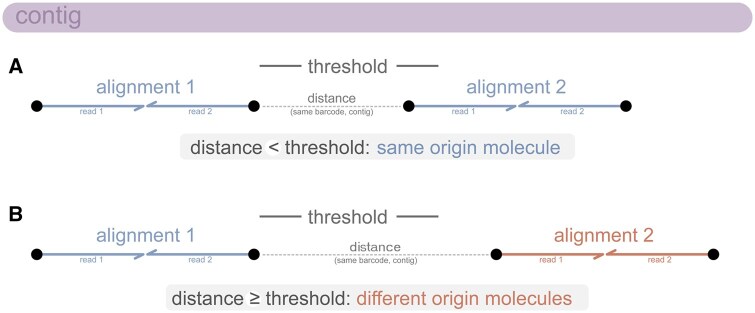 Harpy: a pipeline for processing haplotagging linked-read data.