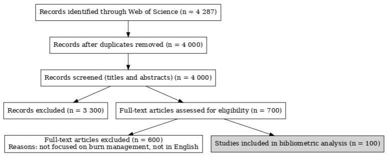 Review of the 100 Most Cited Articles in <i>Burns</i> from 2014 to 2024: A Bibliometric Analysis.