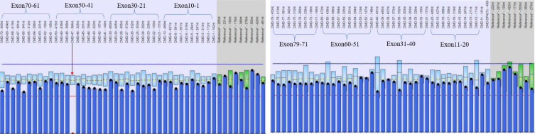 Molecular Genetic Analysis of a <i>DMD</i> Frameshift Mutation in a Boy with Duchenne Muscular Dystrophy by MLPA and Sanger Sequencing.