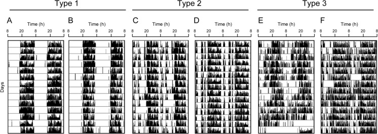 Variety of sleep and circadian rhythms of elderly dementia patients living in group home residences.