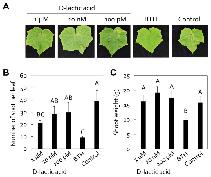 Induced Resistance against Pseudomonas syringae pv. lachrymans in Cucumber by Spraying Cell-Free Microalgae Supernatant.