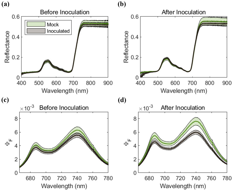 Earlier quantification of rice blast impact via instantaneous chlorophyll fluorescence.
