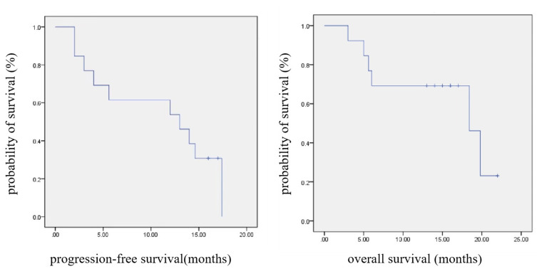 Evaluation of the Effectiveness and Safety Profile of First-Line Immune Checkpoint Inhibitors Combined with Chemotherapy in Pulmonary Sarcomatoid Carcinoma.