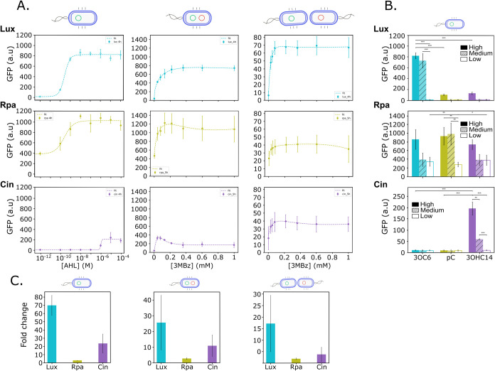 Standardized Quorum Sensing Tools for Gram-Negative Bacteria.