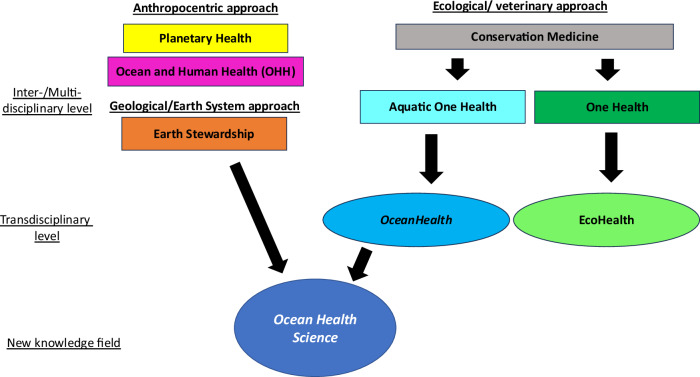 Towards sustainability and beyond with Ocean Health Science.