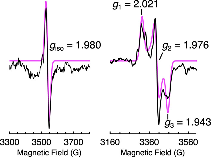 Flash Communication: Metathesis of Heavy Alkyne Analogues in Solution via Dissociation of <i>m</i>‑Terphenyl Substituted Distannynes and Diplumbynes.