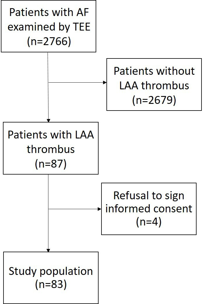 Mean Platelet Volume as a Predictor of Left Atrial Appendage Thrombus Resistance to Lysis in Patients With Atrial Fibrillation: Results of a 12-Month Follow-Up.