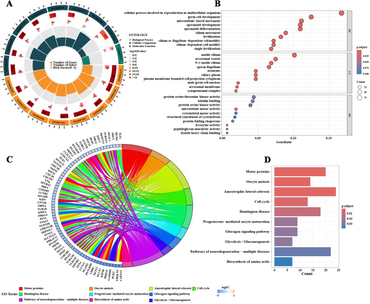 Analysis of the inflammatory gene expression characteristics and immune microenvironment regulatory mechanisms in the testicular tissue of patients with non-obstructive azoospermia.