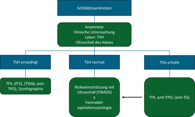 [Diagnosis and surgical therapy of thyroid diseases].