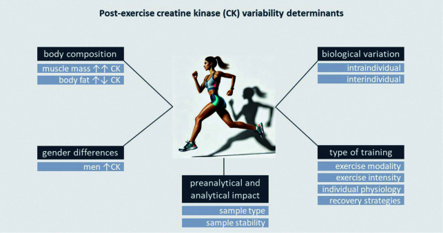 Post-exercise creatine kinase variability: a literature review.