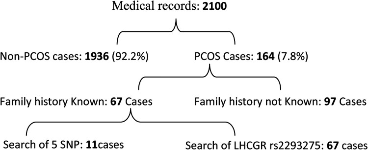 Prevalence and genetic etiology of poly-cystic ovarian syndrome (PCOS) in Mauritania.