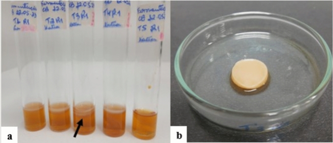 Study of the pretreatment and hydrolysis of a mixture of coffee husk, cowpea bean husk and cocoa pod for bacterial cellulose production.