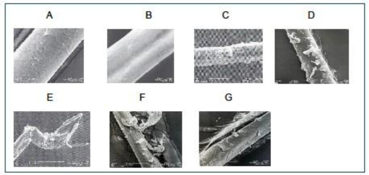 Optimizing Scalp Cooling: (Ultra)Structural Follicular Characteristic and Restorative Advances.