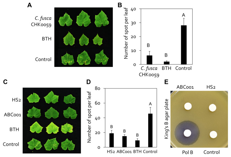 Induced Resistance against Pseudomonas syringae pv. lachrymans in Cucumber by Spraying Cell-Free Microalgae Supernatant.