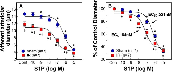 Sphingosine-1-Phosphate Receptor 2 Promotes Renal Microvascular Constriction and Kidney Injury Following Renal Ischemia-Reperfusion in Rats.