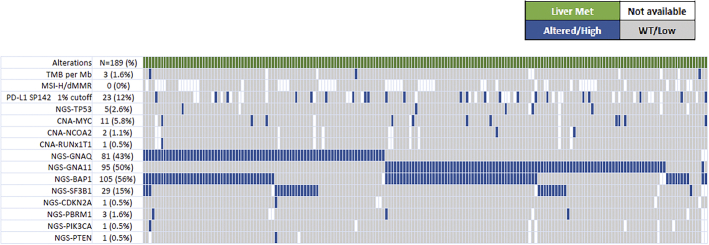 Immune Profiling of Uveal Melanoma Liver Metastases and Response to Checkpoint Inhibitors.