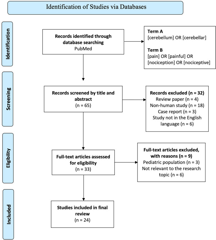 Exploring the Role of the Cerebellum in Pain Perception: A Narrative Review.