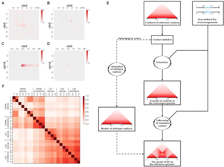 Charm is a flexible pipeline to simulate chromosomal rearrangements on Hi-C-like data.