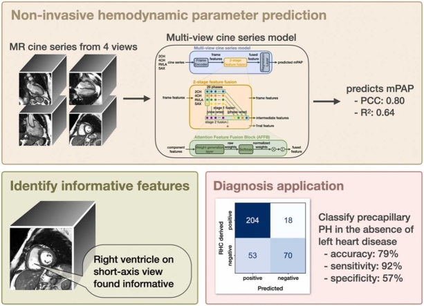 Mean pulmonary artery pressure prediction with explainable multi-view cardiovascular magnetic resonance cine series deep learning model.