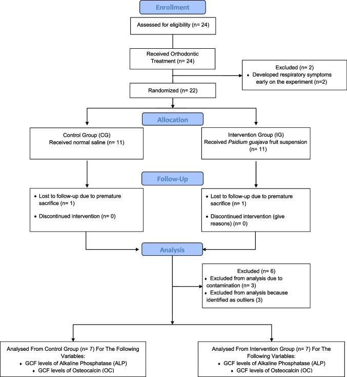 Effect of psidium guajava fruit suspension on bone turnover biomarkers following orthodontic tooth movement in wistar rats.