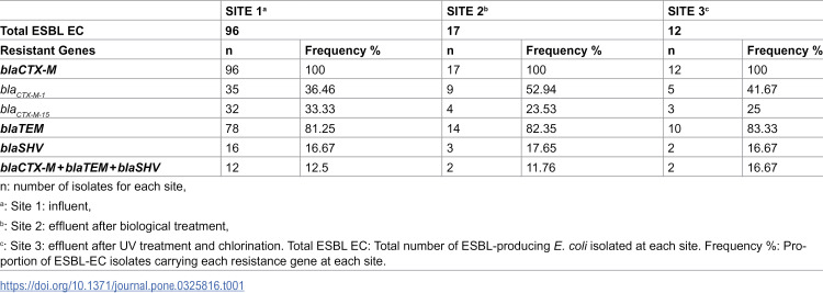 Antimicrobial resistance and molecular detection of extended-spectrum ß-lactamase (ESBL)-producing Escherichia coli in municipal wastewater in Marrakech.