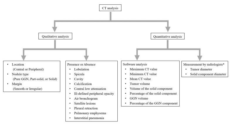 Qualitative and Quantitative Computed Tomography Analyses of Lung Adenocarcinoma for Predicting Spread Through Air Spaces.