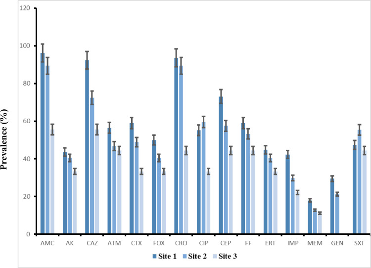 Antimicrobial resistance and molecular detection of extended-spectrum ß-lactamase (ESBL)-producing Escherichia coli in municipal wastewater in Marrakech.
