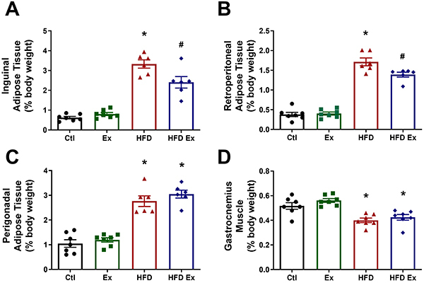 Effects of endurance exercise training on endoplasmic reticulum stress in pancreatic islets of obese mice.