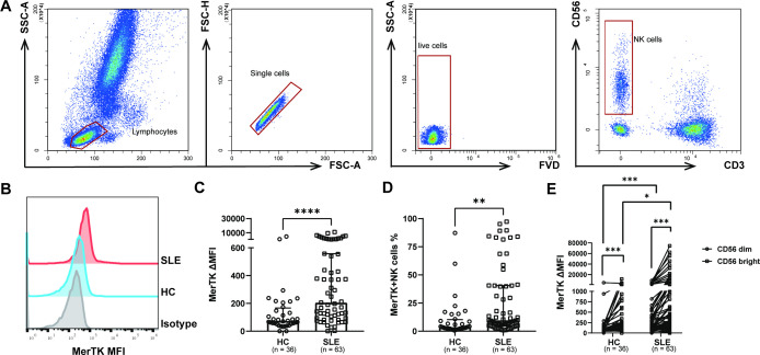 Expression pattern and clinical significance of MerTK on circulating NK cells in systemic lupus erythematosus.
