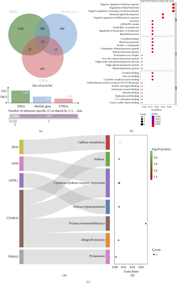 Identification of Coagulation and Fibrinolysis-Associated Biomarkers With Implications for Preeclampsia.