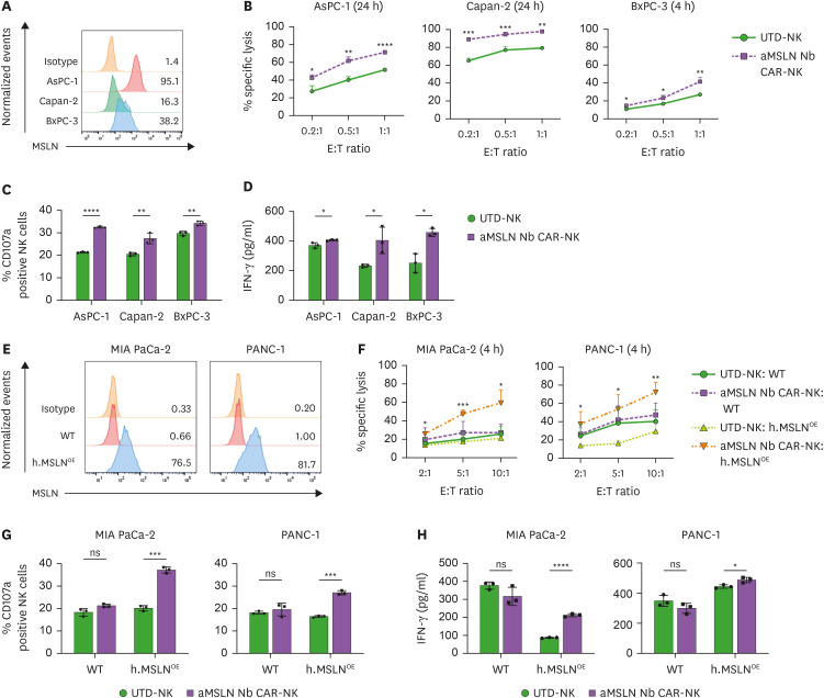 Nanobody-Based CAR NK Cells for Possible Immunotherapy of Mesothelin<sup>+</sup> Tumors.