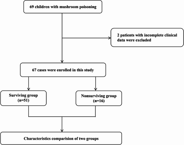 Incidence of and risk factors for mortality in children with mushroom poisoning.