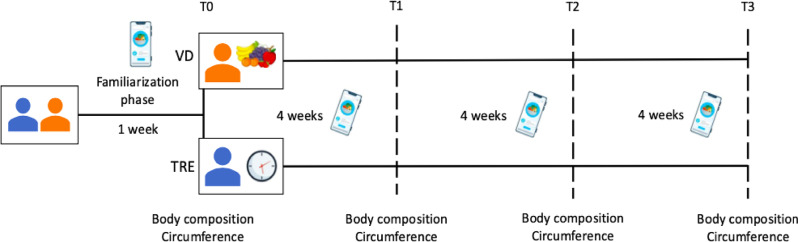 Similar body composition outcomes following volumetric diet and time-restricted eating in middle-aged individuals: a 12-week randomized controlled trial.