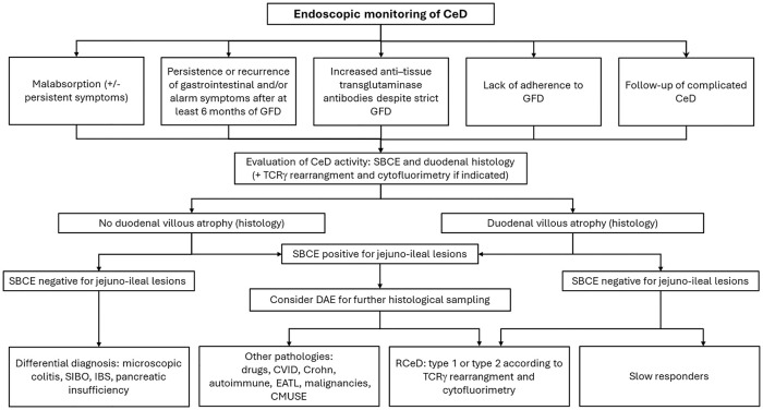 Navigating celiac disease with small bowel capsule endoscopy: current state and future horizons.