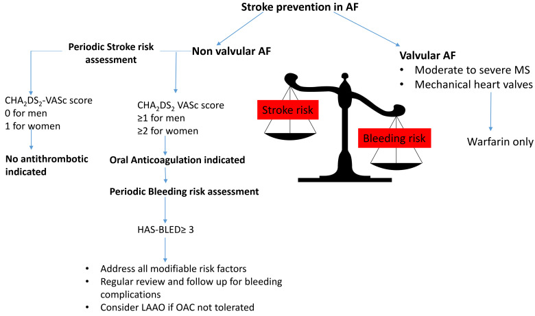 Anticoagulation for Stroke Prevention in Patients with Atrial Fibrillation: A Review of the Literature and Current Guidelines.