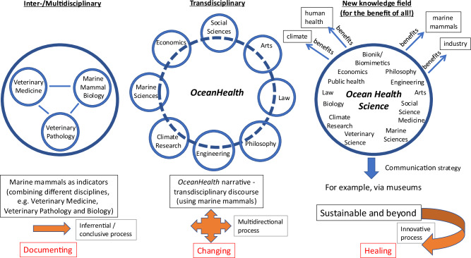 Towards sustainability and beyond with Ocean Health Science.